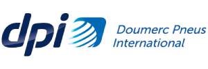 Dpi logo 300x100px - Attribut alt par défaut.