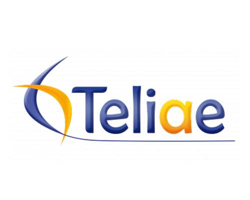 Teliae - Attribut alt par défaut.